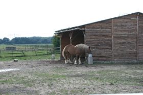 IMG_1495.jpg