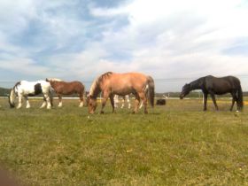 Bild344.jpg